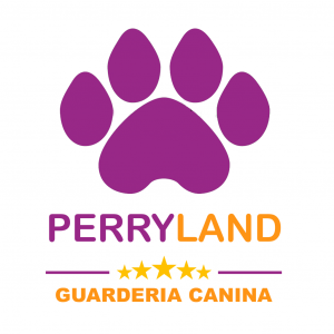 277678115_375904561210415_7553445027985388036_n